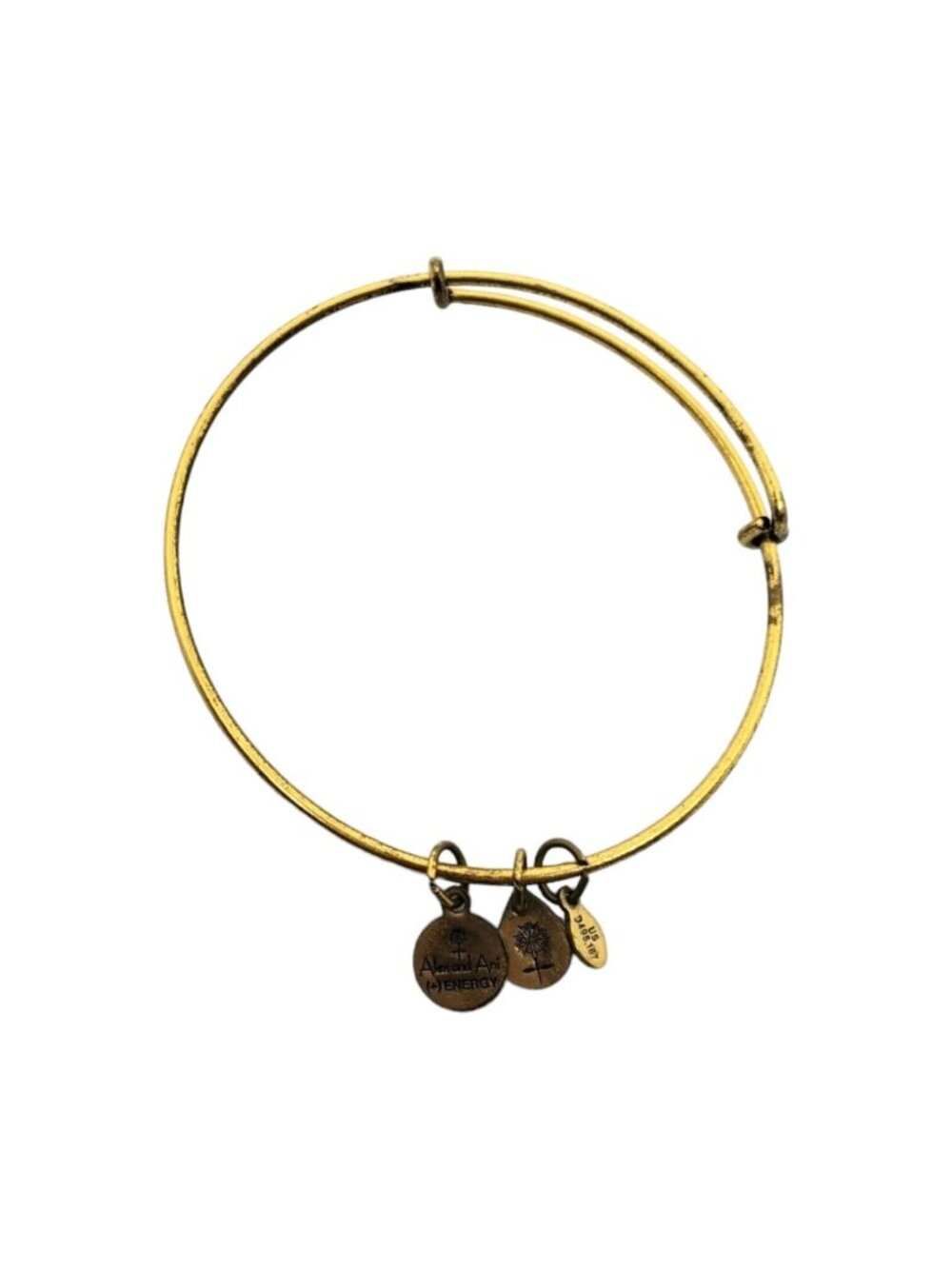 Alex and Ani Bangle Charm Bracelet Goldtone infused +Energy Technology Flower - Picture 2 of 10